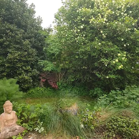 Hidden Hearts Hottub Haven